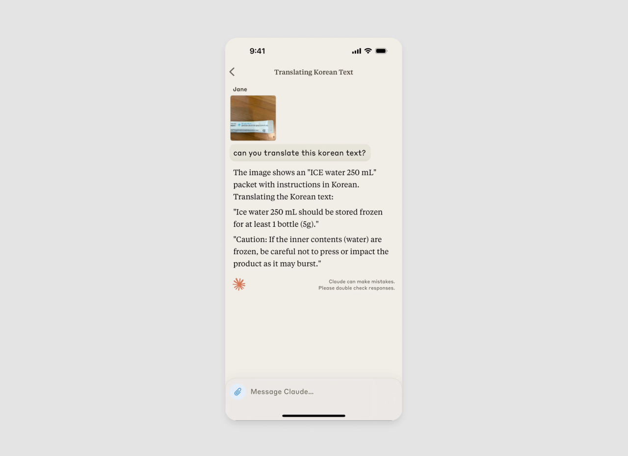 SpicyChat AI Pricing & How to Save
